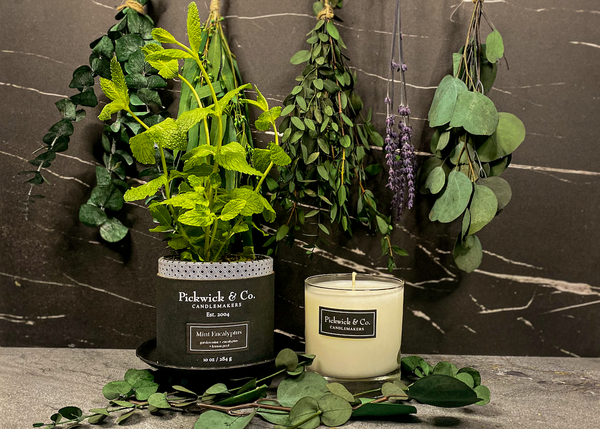 Mint Eucalyptus